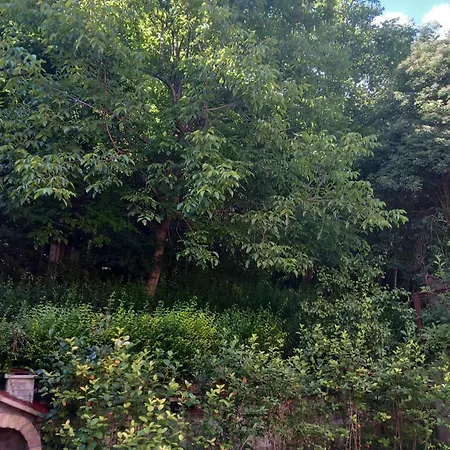 Apartman Turkana 2 Sarajevo