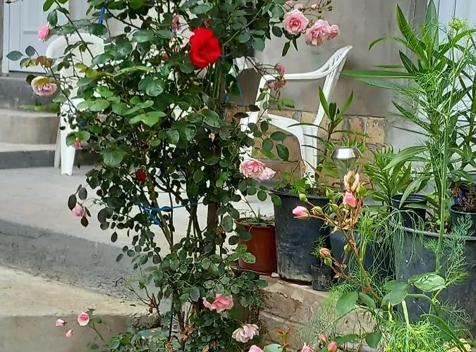 Apartman Turkana 2 *