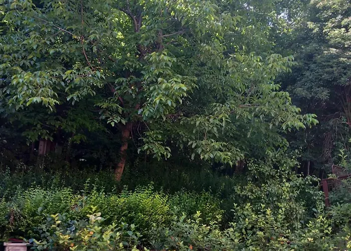 Apartman Turkana 2 Sarajevo